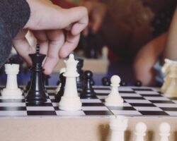 cash king versus investing